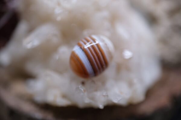 3.00ct 10.3x8.5mm Natural Banded Agate