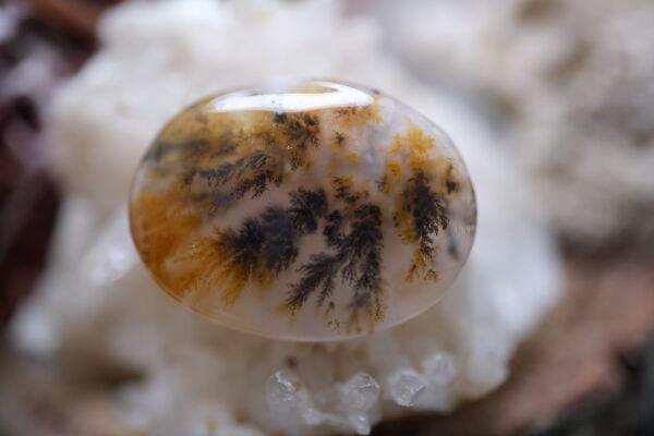 13.90ct 22.1x16.7mm Natural Dentric Agate