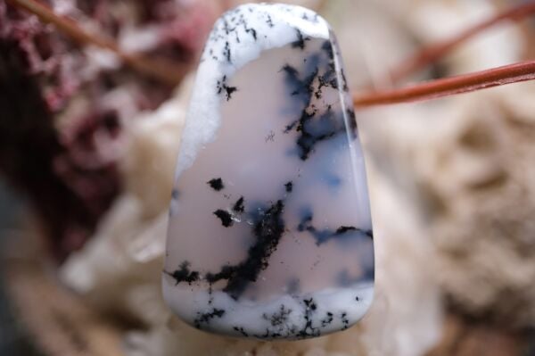 21.60ct 31.8x19.8mm Natural Dentric Agate