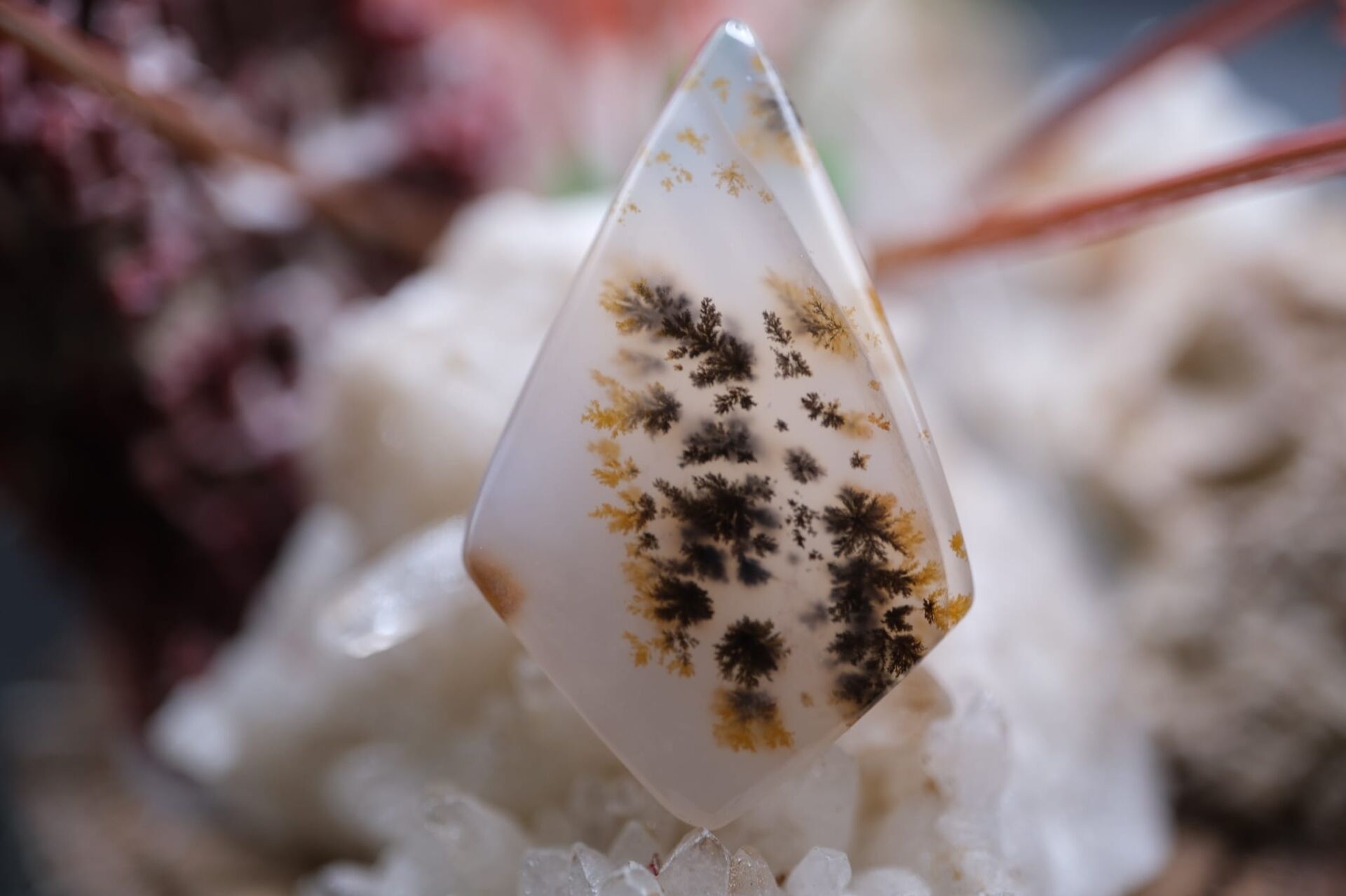 16.25ct 29.3x18.2mm Natural Dentric Agate