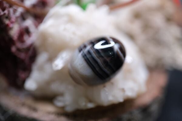 12.80ct 18.2x13.4mm Natural Banded Agate