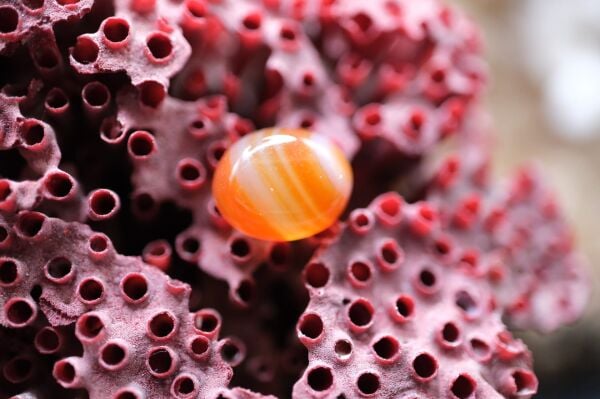 3.15ct 10.6x8.5mm Natural Banded Agate