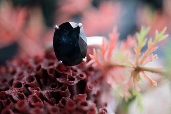 3.19ct Natural Safir ( Heated ) Kadın Yüzük