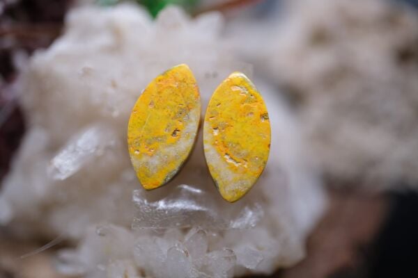 6.05ct 13.7x7mm Natural Bumble Bee Pair