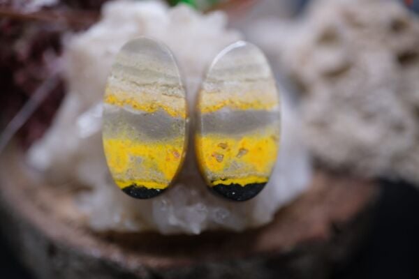 18.00ct 20.9x11.1mm Natural Bumble Bee Pair