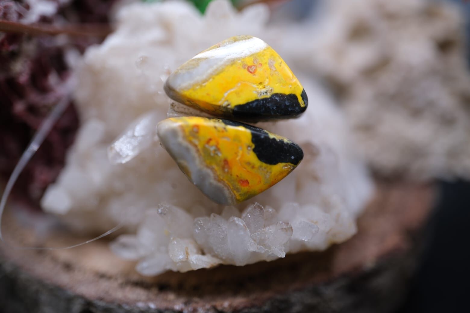 9.20ct 16.3x9.5mm Natural Bumble Bee Pair