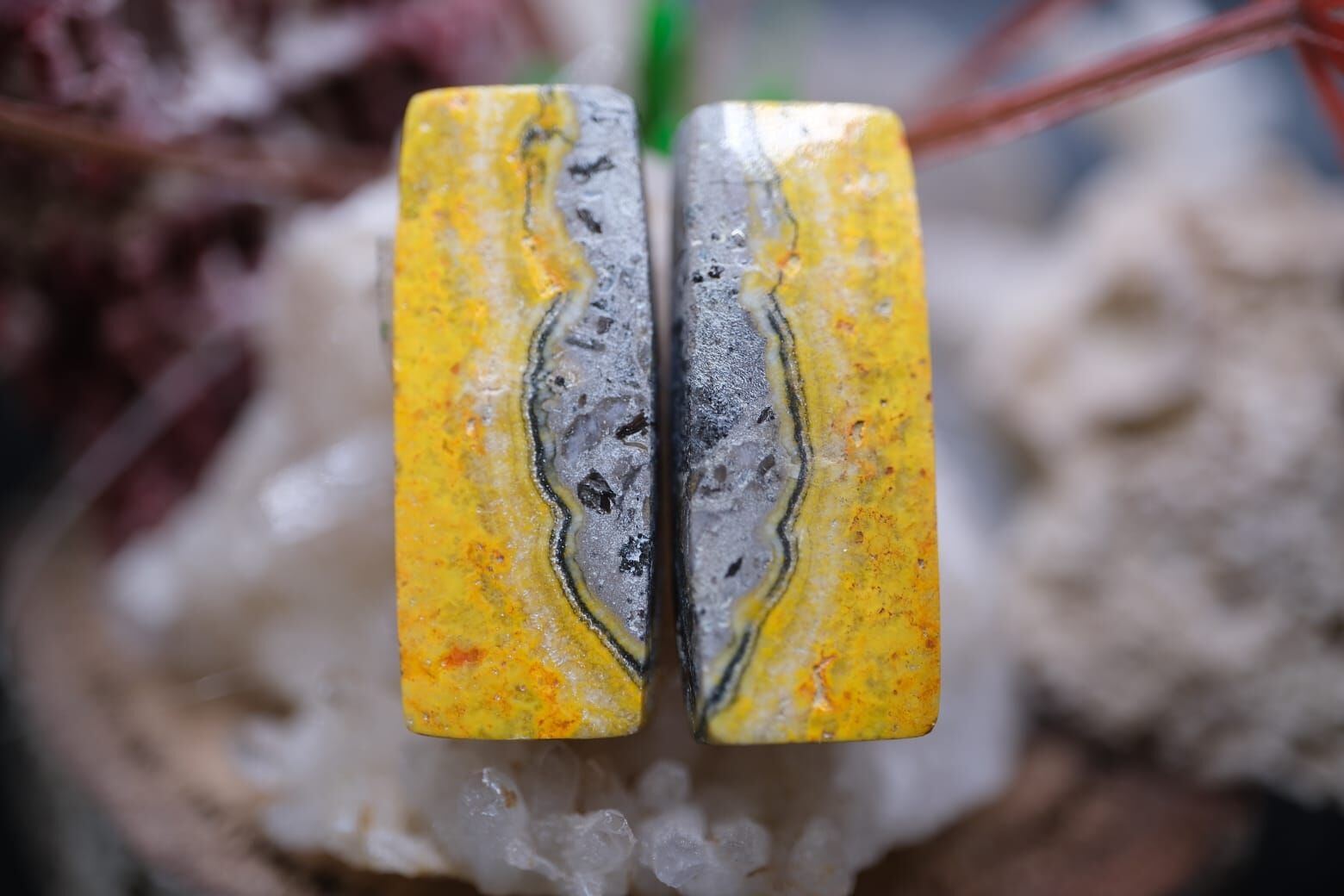 24.60ct 25.4x10.5mm Natural Bumble Bee Pair