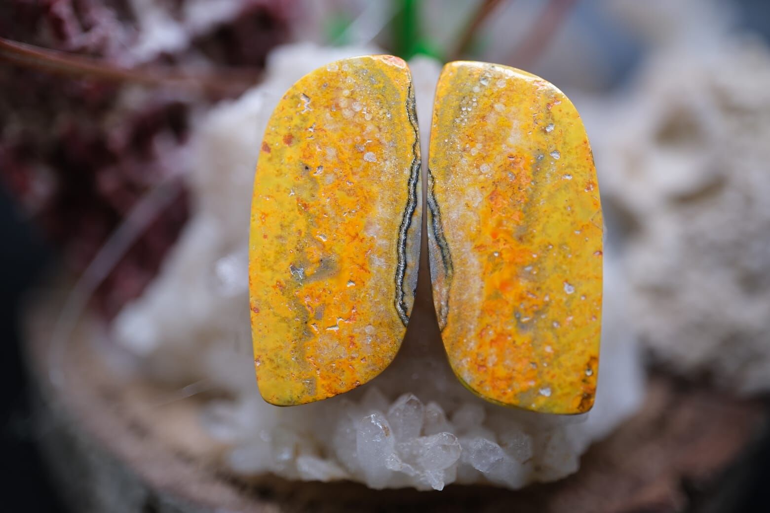 21.55ct 25x11.7mm Natural Bumble Bee Pair