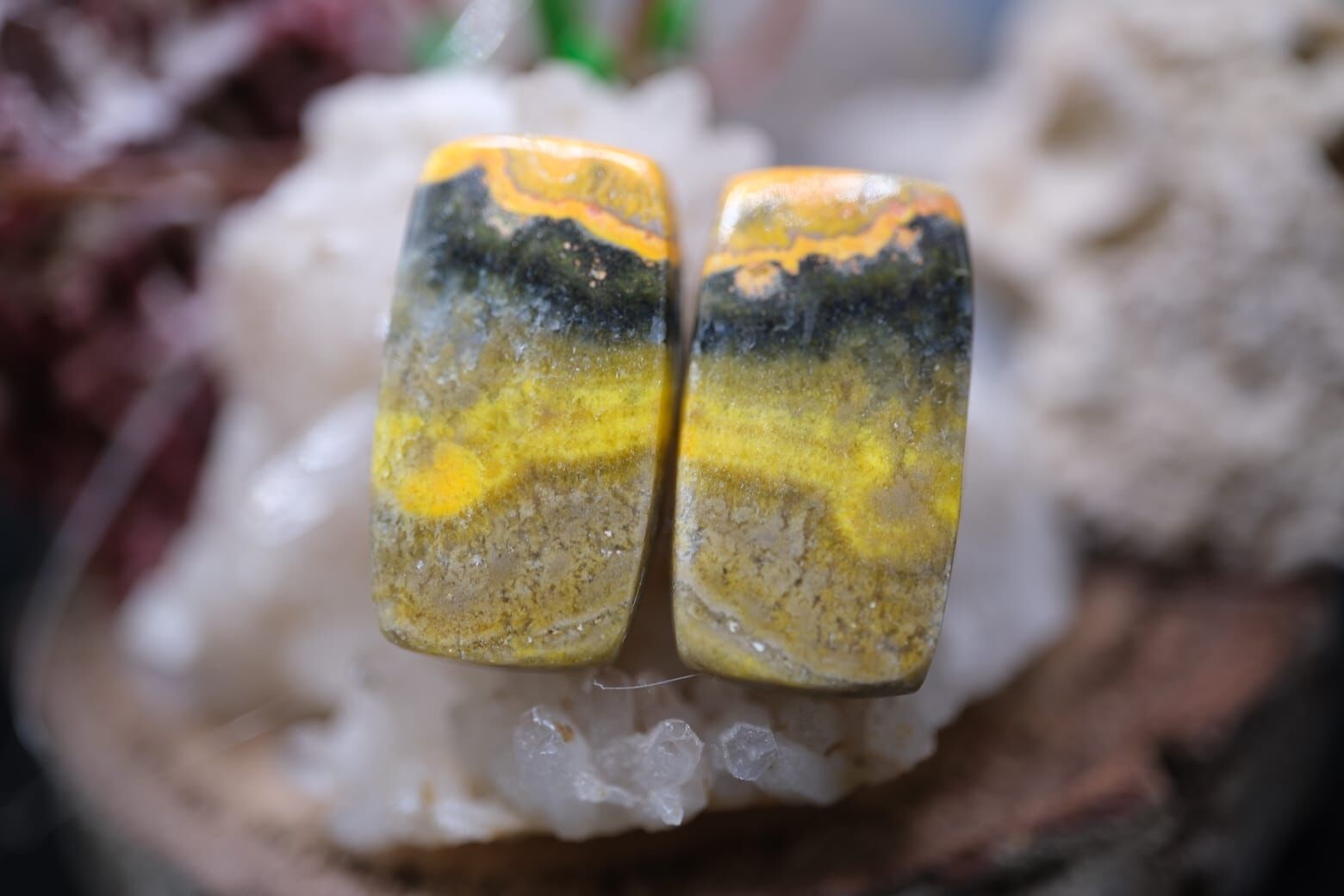 20.35ct 20.3x11.3mm Natural Bumble Bee Pair