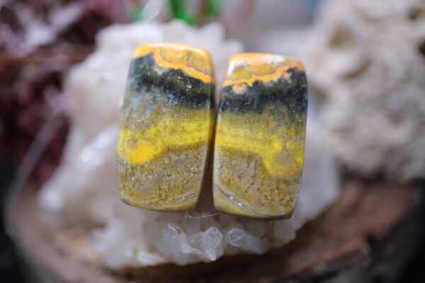 20.35ct 20.3x11.3mm Natural Bumble Bee Pair