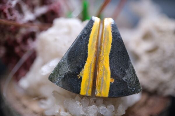 20.95ct 24.2x14.1mm Natural Bumble Bee Pair