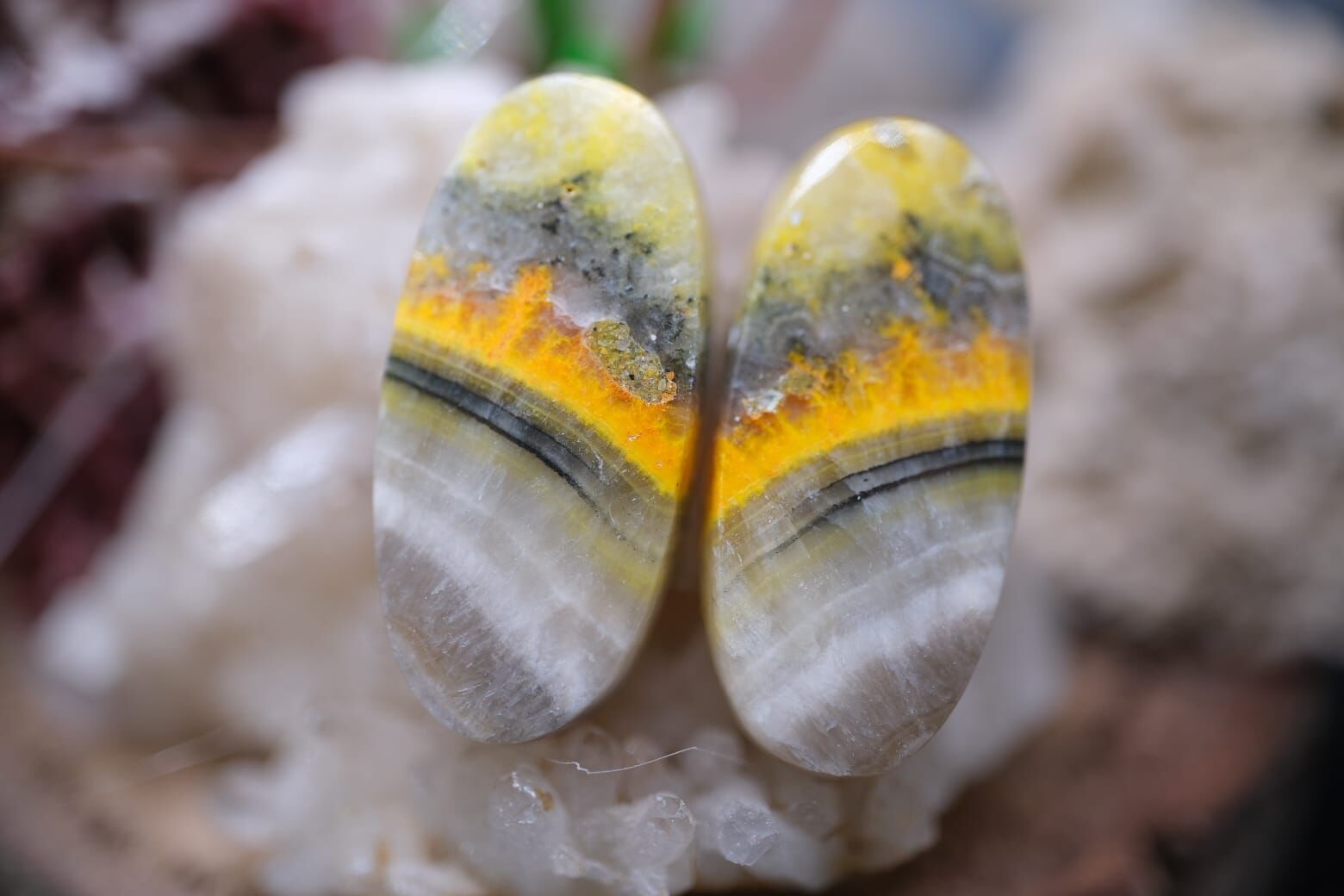 22.30ct 23.4x11.1mm Natural Bumble Bee Pair