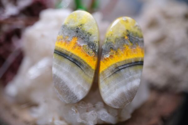 22.30ct 23.4x11.1mm Natural Bumble Bee Pair