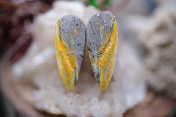 10.00ct 20.5x8.3mm Natural Bumble Bee Pair