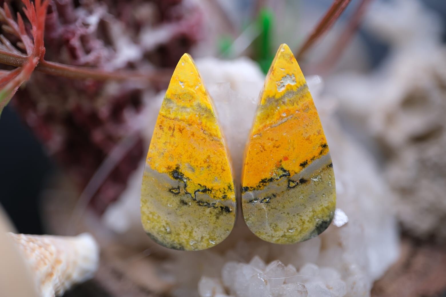 17.7ct 24.2x11.9mm Natural Bumble Bee Pair