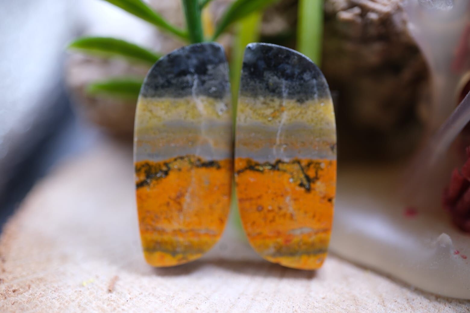 25.2ct 25.5x11.1mm Natural Bumble Bee Pair