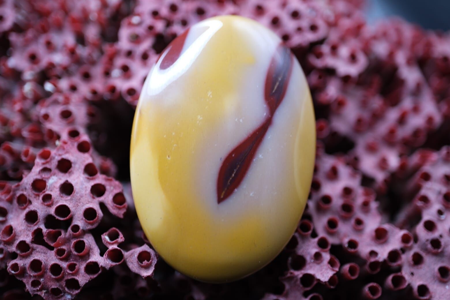 44.50ct 37x25.5mm Natural Mookaite Jasper