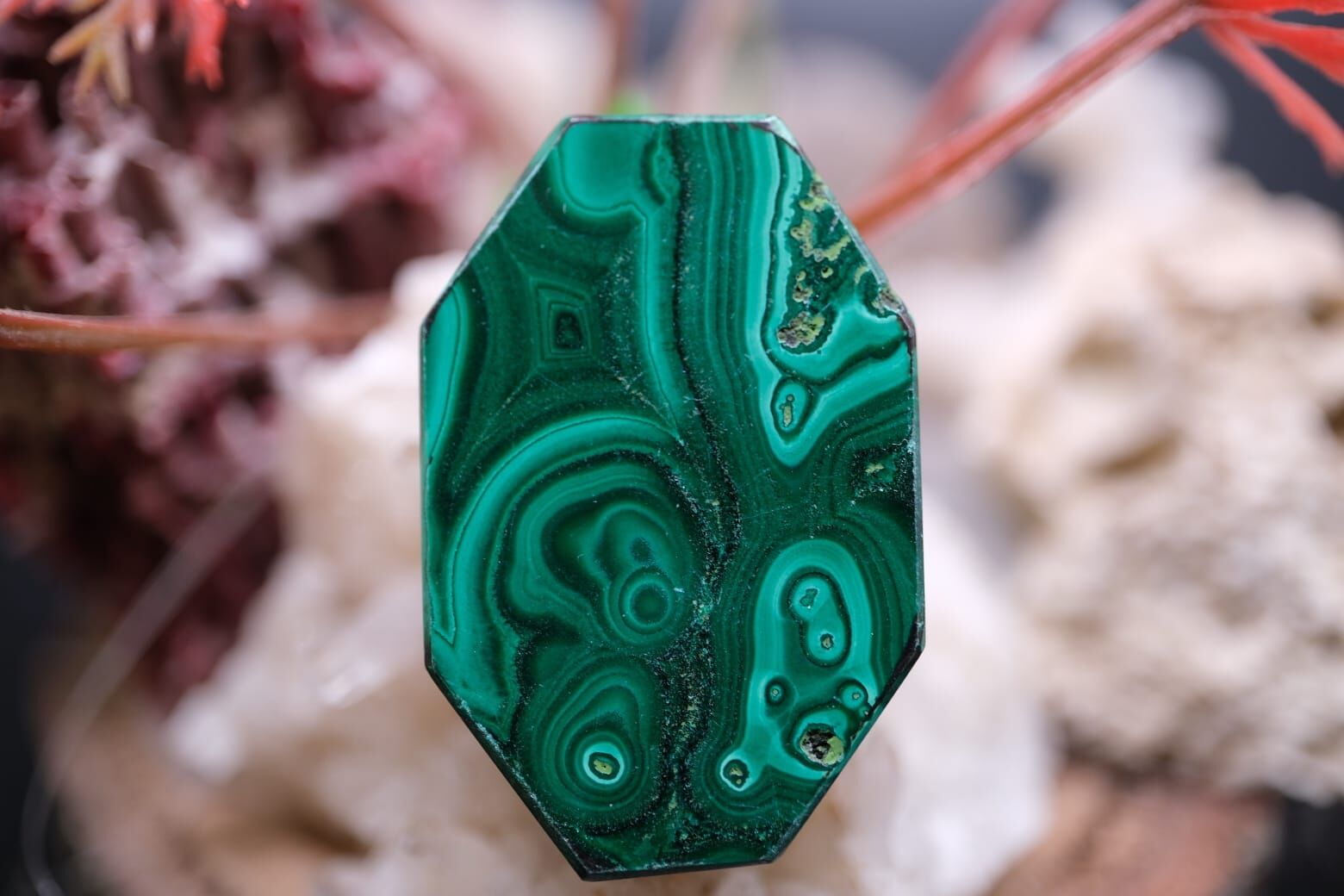 38.20ct 30.9x20.3mm Natural Malachite