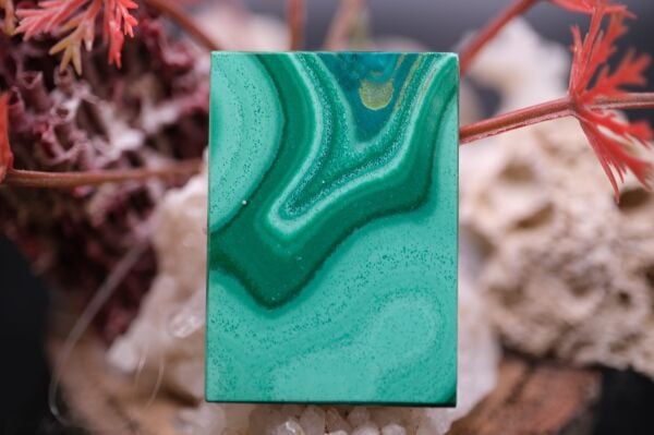 27.25ct 33.8x23.9mm Natural Malachite