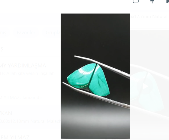 22.55ct 20.60x12.10mm Natural Malachite Pair