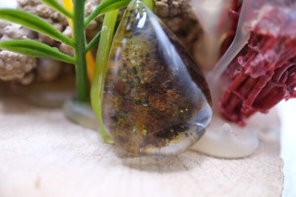 43.45ct 28x20.1mm Natural Garden Quartz