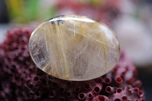45.25ct 32.9x24mm Natural Golden Rutilated Quartz