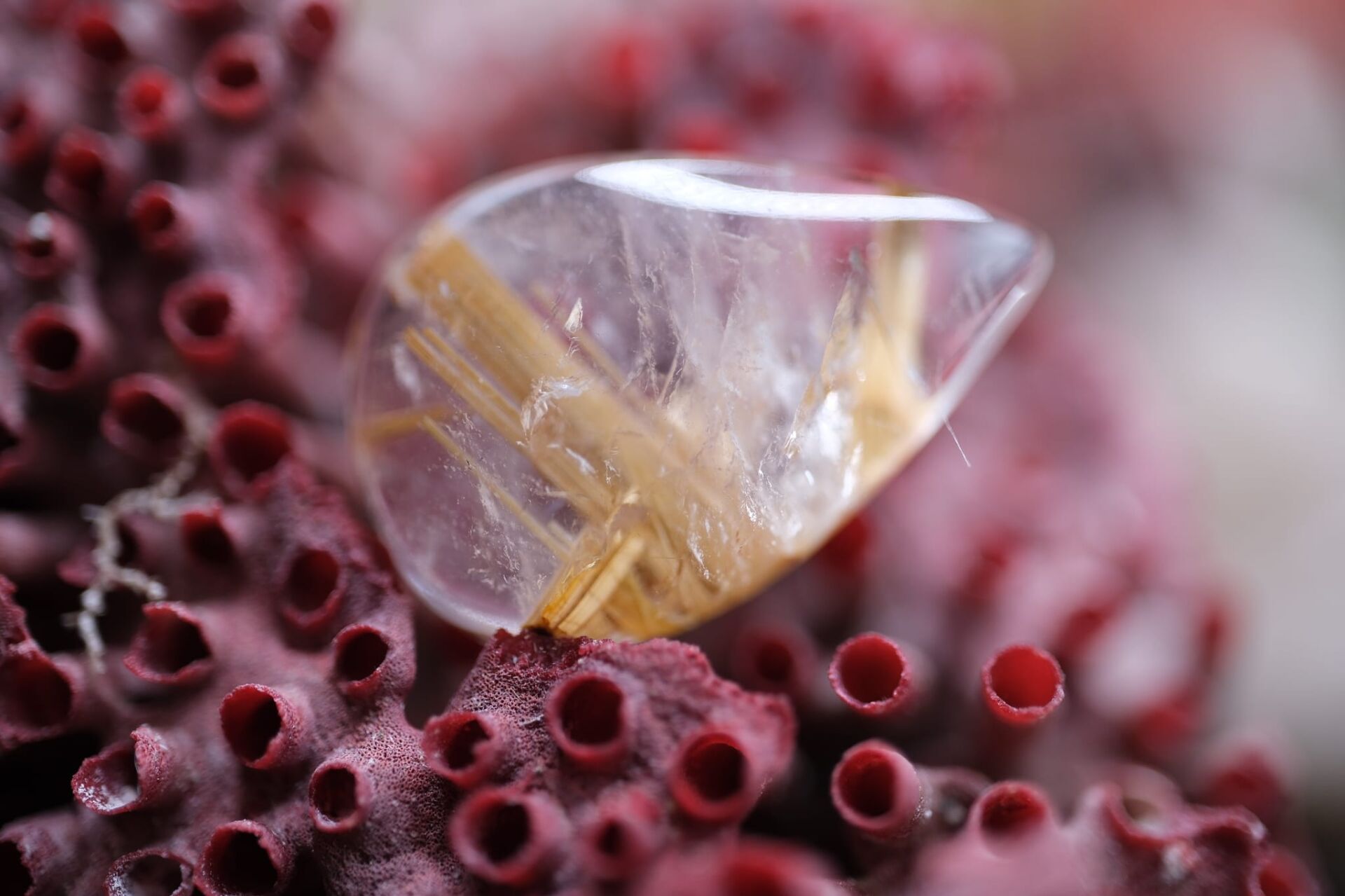 11.76ct 20.5x13.7mm Natural Golden Rutilated Quartz