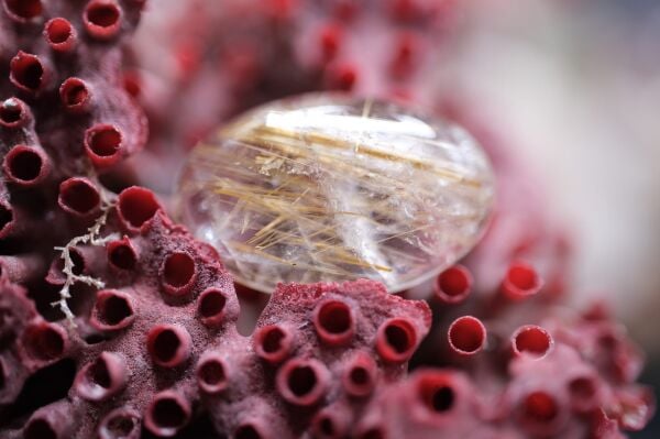 8.25ct 18.7x12.1mm Natural Golden Rutilated Quartz