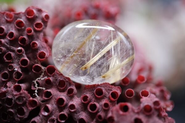 18.65ct 20.6x16.1mm Natural Golden Rutilated Quartz