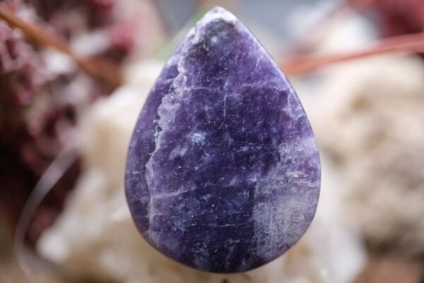 32.60ct 28.6x21.1mm Natural Lepidolite