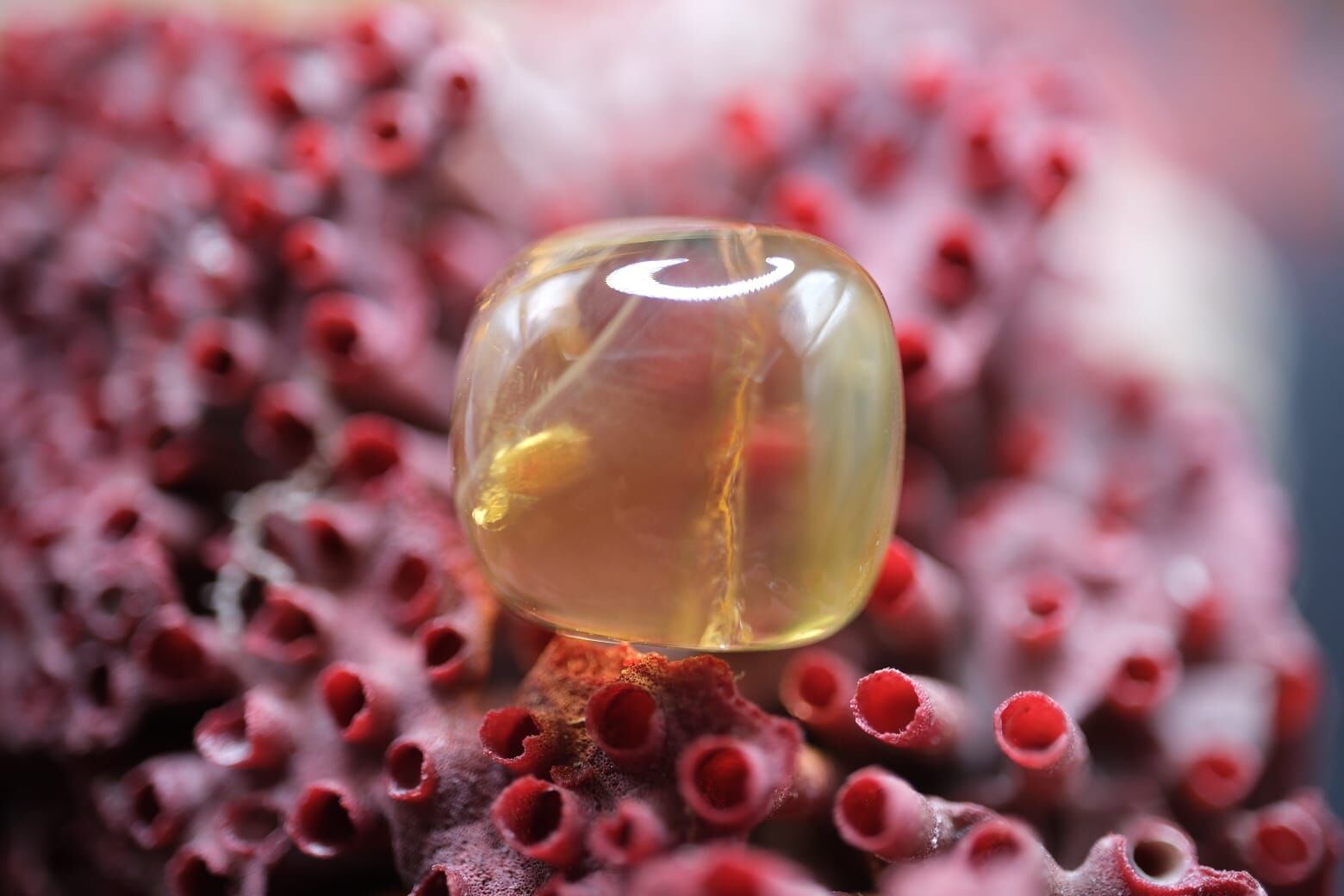 14.55ct 13x13mm Cabachon Natural Citrine