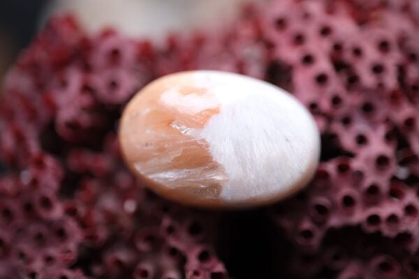 17.80ct 22.8x15.2mm Natural Scolasite