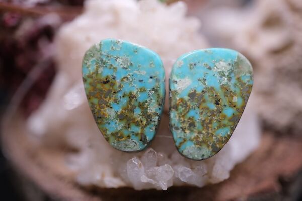 12.40ct 17.1x12.6mm Natural Turquase  Pair