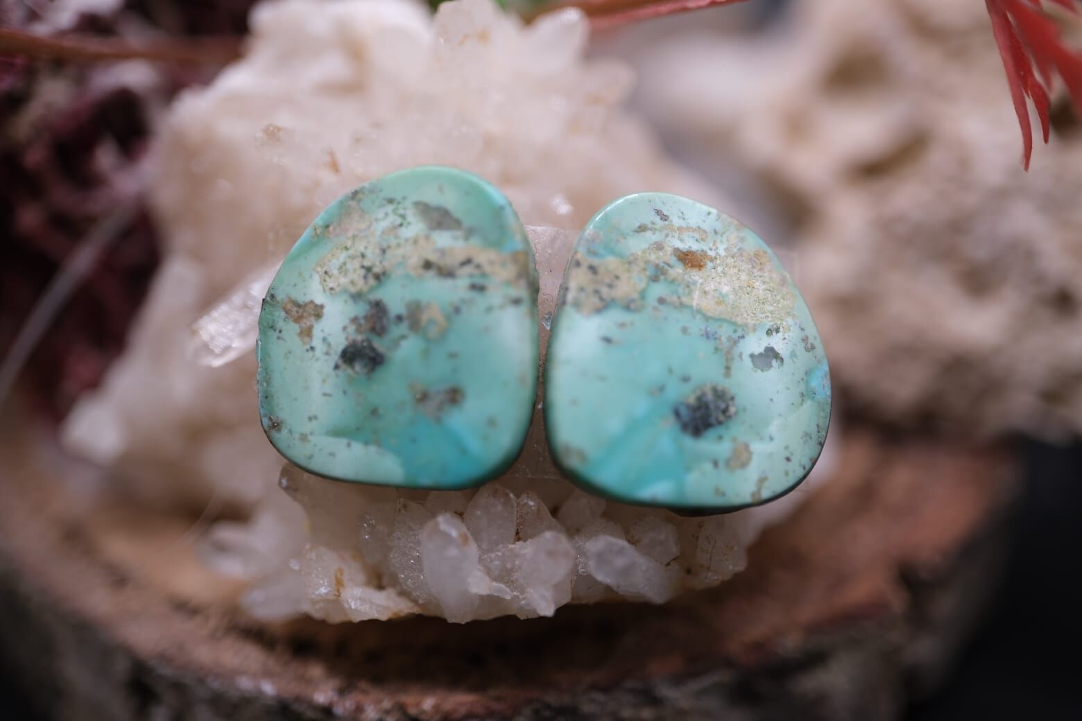 8.90ct 15.4x13.7mm Natural Turquase  Pair