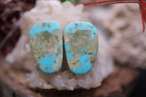 9.60ct 17.3x11.3mm Natural Turquase  Pair