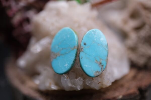 5.85ct 15.5x9.8mm Natural Turquase Pair