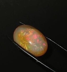 14.10ct 18.5x12.7mm Oval Natural Garden Opal