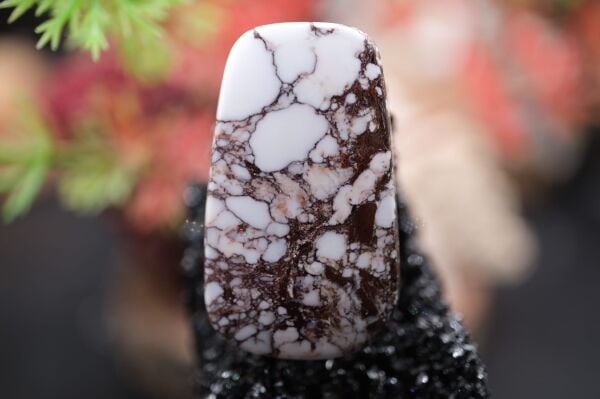 22.55ct 32.1x18.1mm Fancy Natural Wild Horse Jasper