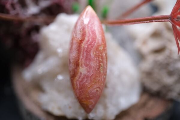 21.90ct 31.9x12mm Marquise Natural Rhodokrosite