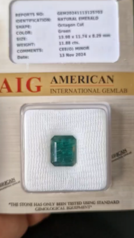 11.88ct 13.98x11.74mm Natural Octagon Zambian Emerald Sertifikalı