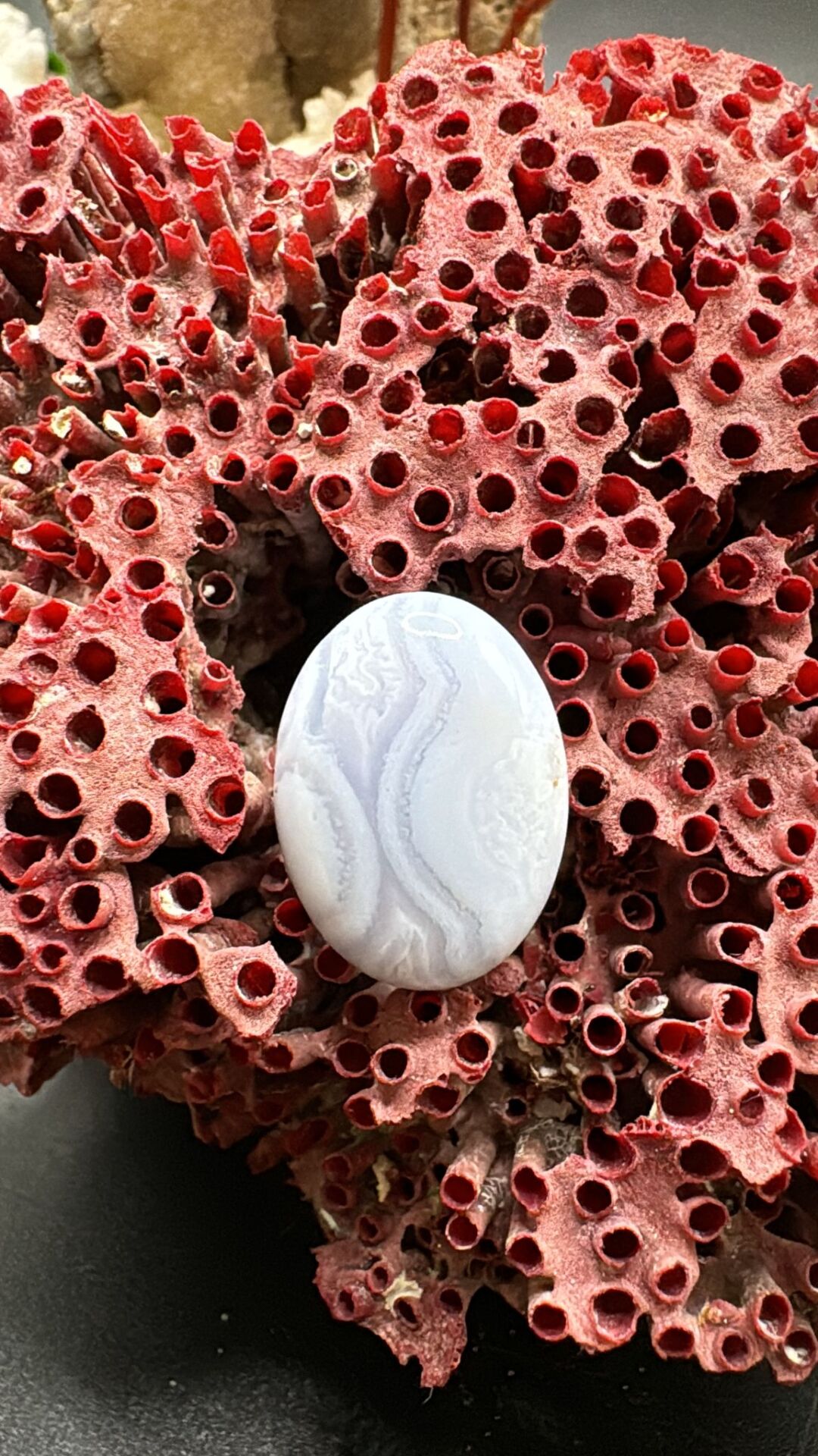 12.25ct 19,3x14,2 mm Natural Blue Lace Agate