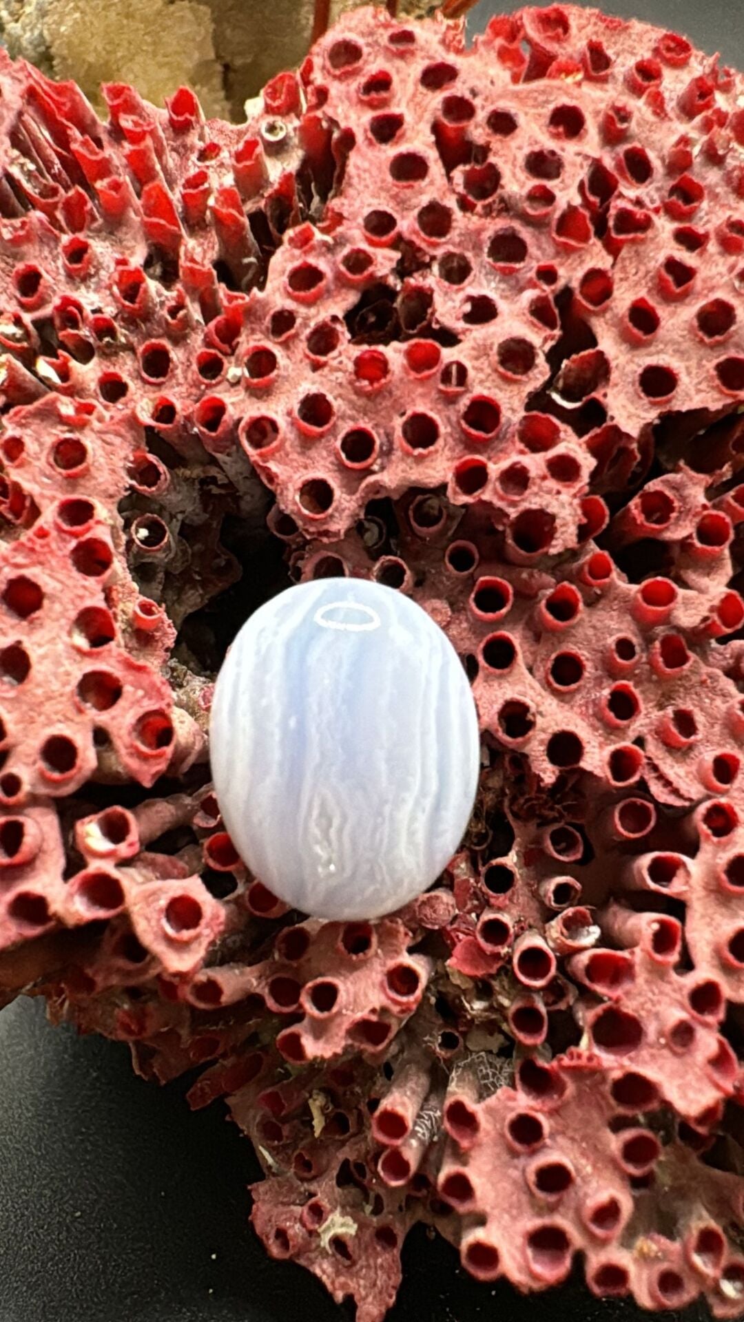 10.30ct 16,9x13 mm Natural Blue Lace Agate