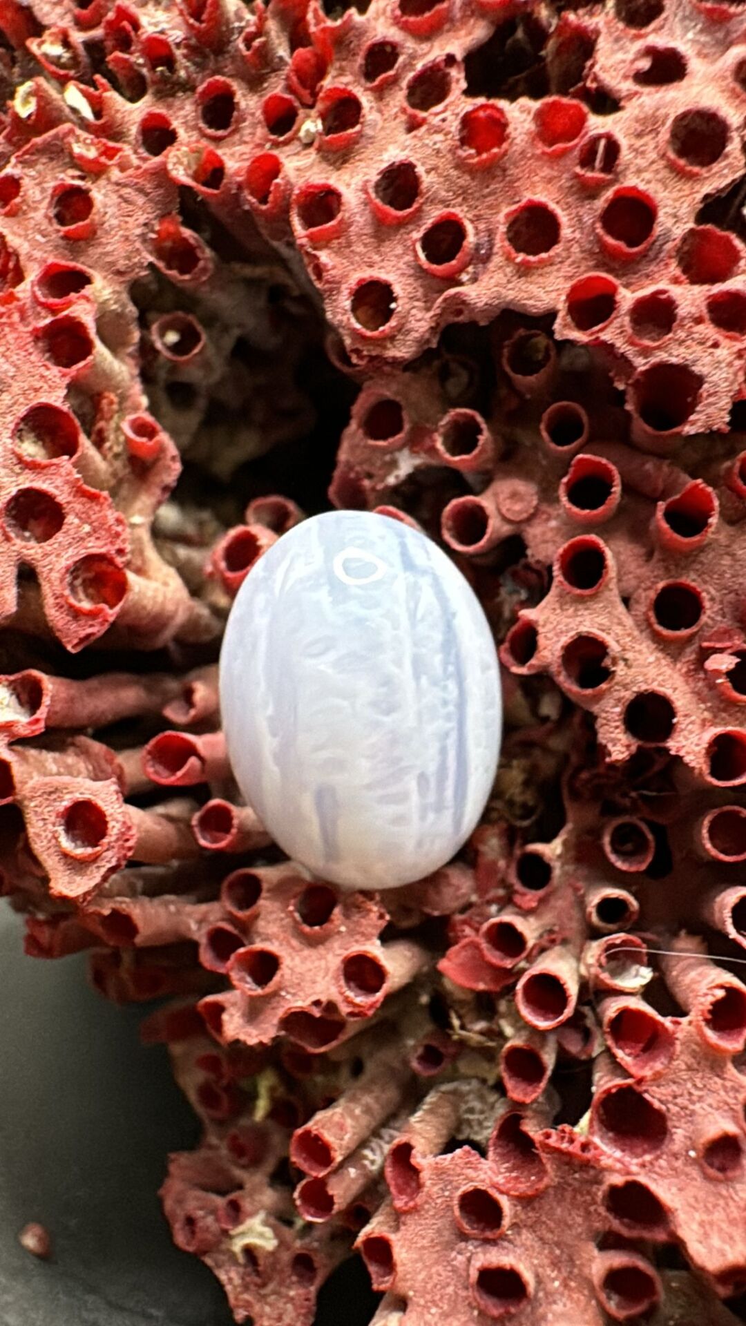 7.45ct 14,5x10,5 mm Natural Blue Lace Agate