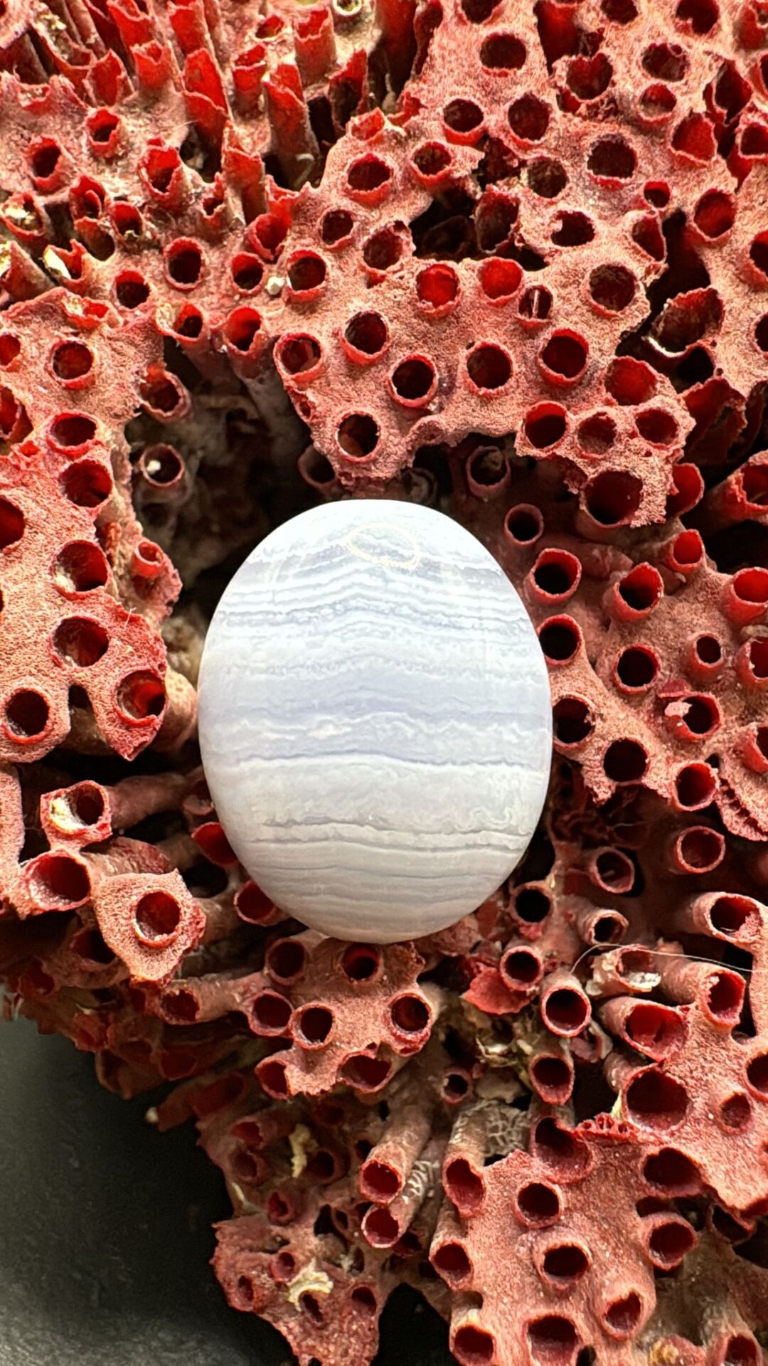 13.30ct 18,2x14,5 mm Natural Blue Lace Agate