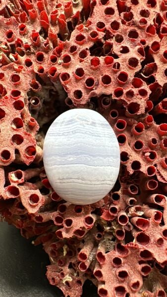 13.30ct 18,2x14,5 mm Natural Blue Lace Agate