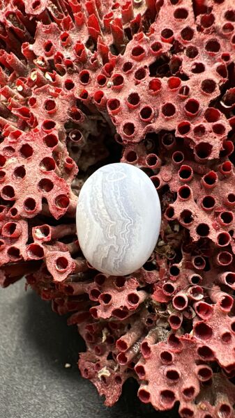 9.35ct 16,3x12,1 mm Natural Blue Lace Agate