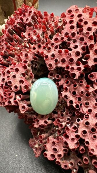 11.15ct 16,1x12,2 mm Natural Green Banded Agate