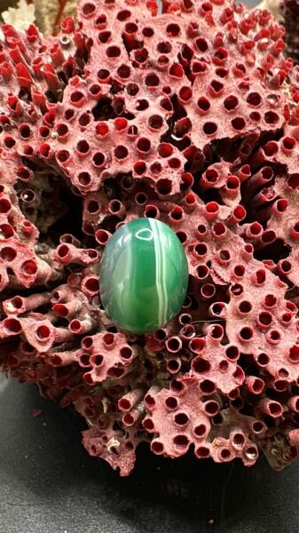 10.00ct 16,5x12,7 mm Natural Green Banded Agate