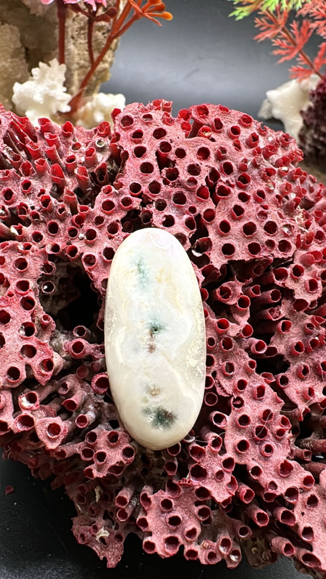 21.85ct 31,2x14,6 mm Natural Dentritic Agate