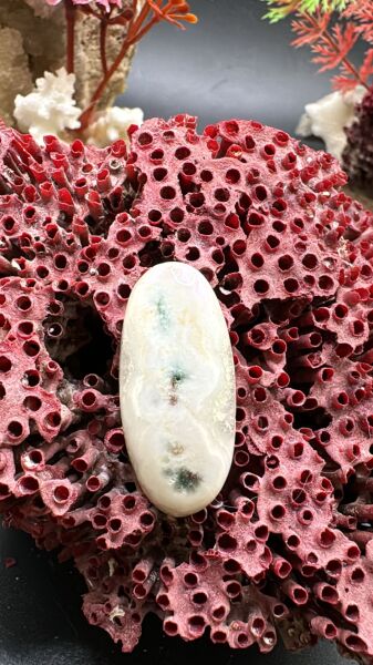 21.85ct 31,2x14,6 mm Natural Dentritic Agate